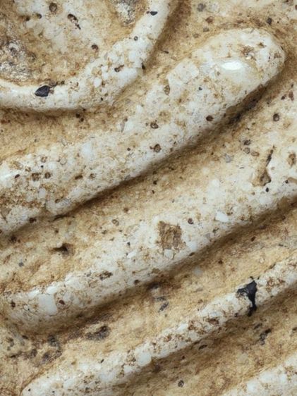 (Number One) เปิดกรุ ให้เช่าบูชาสมบัติบ้าน พระสมเด็จวัดระฆัง พิมพ์เจดีย์ มีมวลสาร เก่าสภาพใช้ รูปที่ 17