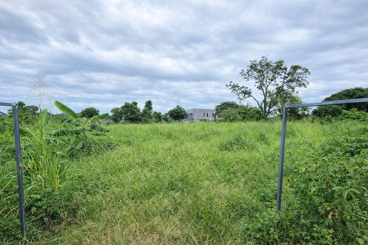 ขายที่ดินศรีราชา ชลบุรี ผังสีส้ม ใจกลางชุมชน เจ้าของขายเอง เหมาะพัฒนาโครงการทาวน์โฮม-คอนโด Low-rise รูปที่ 2