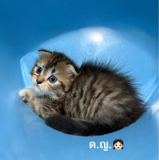 น้อง ไอด้า รูปที่ 2