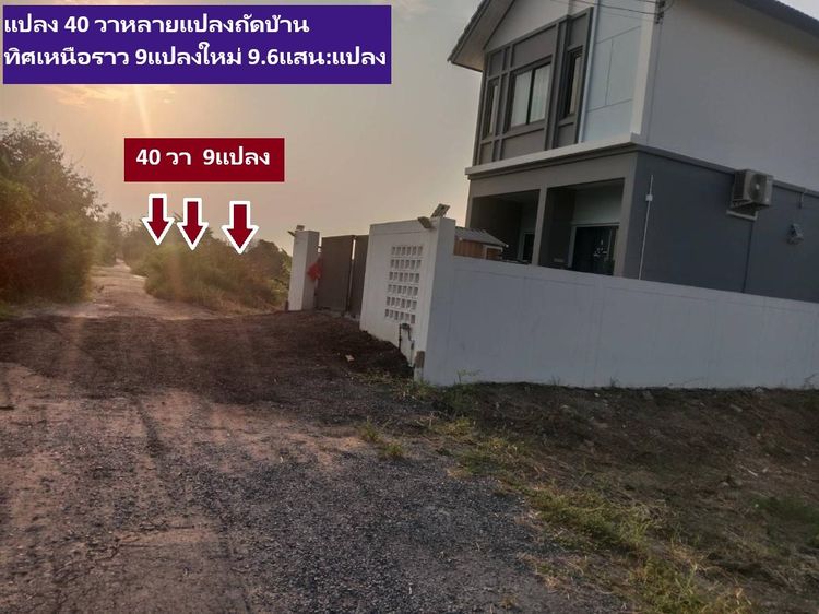 ขายที่ดินพหลโยธิน 54ทับ1แยก 8 -4-3 เป็นจัดสรรขนาดใหญ่ มีแปลง 40 ตารางวาสวย 9 แปลงเชื่อมกันให้เลือกเป็นโซนใหม่แต่ดีมาก แนะนำเลย 9.6 แสนต่อแปล รูปที่ 4