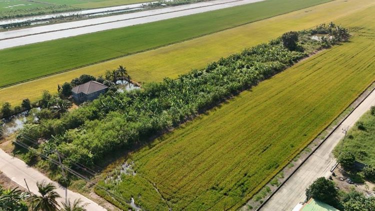 ขายที่ดิน 4ไร่ 3งาน 85 ตรว. อ.ลาดหลุมแก้ว จ.ปทุมธานี