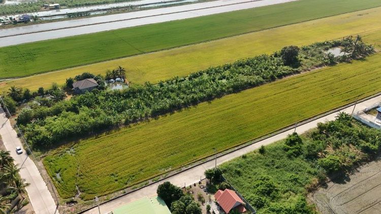 ใช่ ขายที่ดิน 4ไร่ 3งาน 85 ตรว. อ.ลาดหลุมแก้ว จ.ปทุมธานี รูปที่ 3