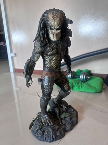 งาน Sideshow Predator รูปที่ 2