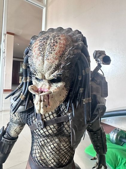 งาน Sideshow Predator รูปที่ 7