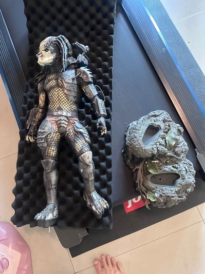 งาน Sideshow Predator รูปที่ 9