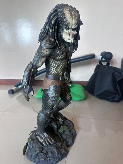 งาน Sideshow Predator รูปที่ 4