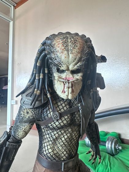 งาน Sideshow Predator รูปที่ 3