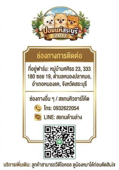 ลูกสุนัขพันธุ์ปอมแท้ รูปที่ 5