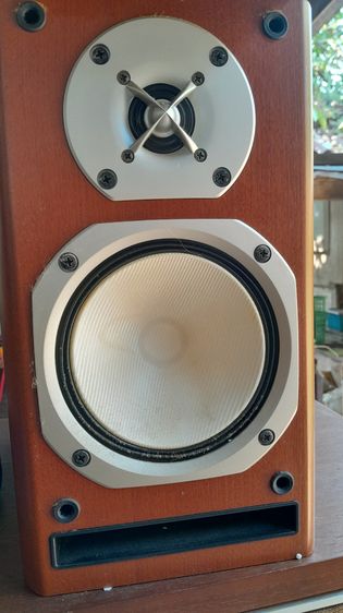 ขายลำโพง ONKYO D-N9 และ D-N7X