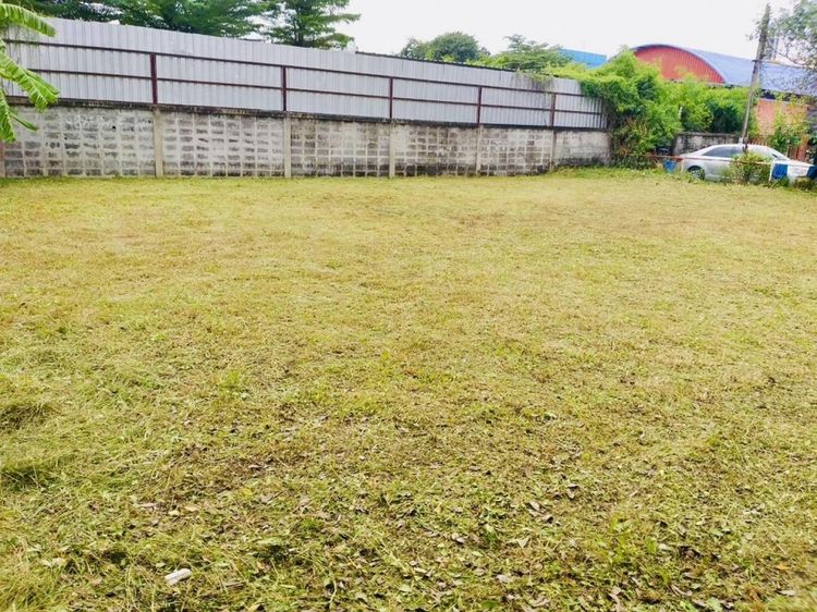 ขายที่ดินเปล่า แปลงสวย ทำเลทอง ย่านดอนเมือง – สรงประภา รูปที่ 2
