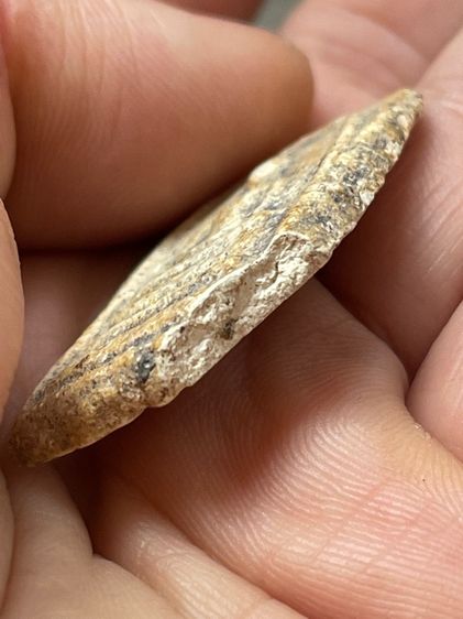 พระสมเด็จวัดระฆัง รูปที่ 2