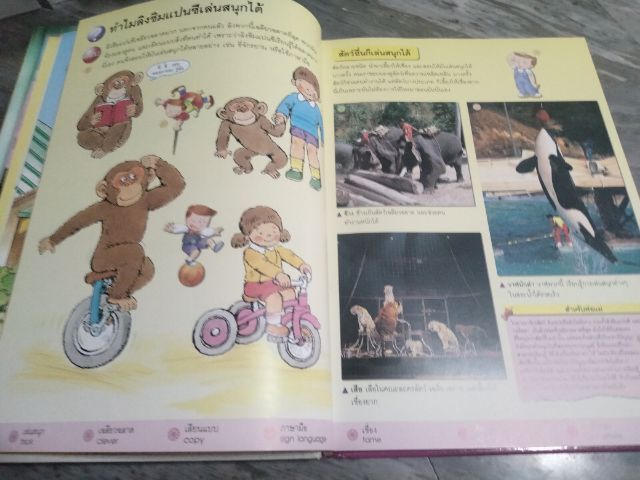 หนังสือพูดได้สำหรับเด็กปฐมวัย รูปที่ 5