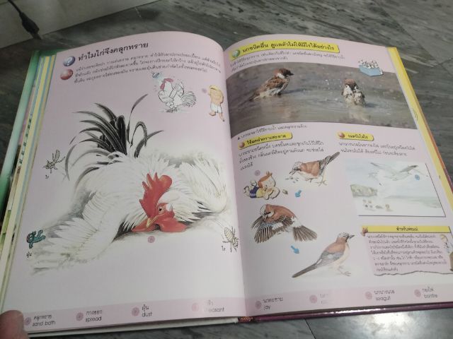 หนังสือพูดได้สำหรับเด็กปฐมวัย รูปที่ 4