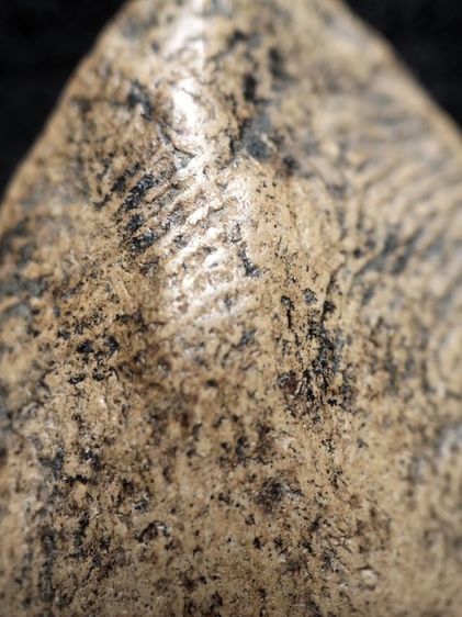 พระรอดลำพูนพิมพ์ใหญ่เนื้อละเอียดแน่นสวยๆครับ รูปที่ 15