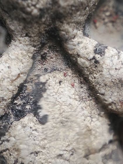 พระปิดตาเก่าเลี่ยมเดิมครับ รูปที่ 5