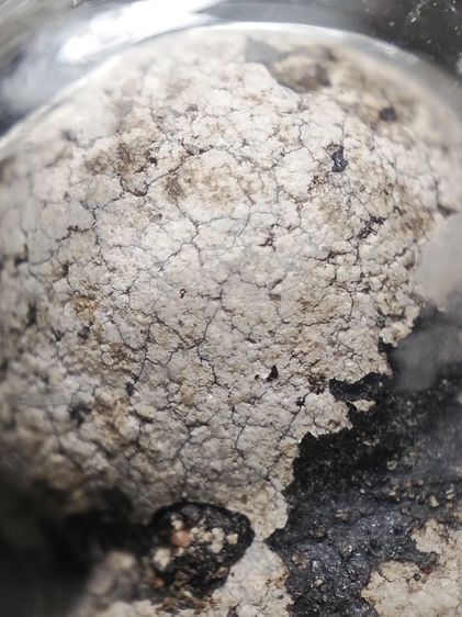 พระปิดตาเก่าเลี่ยมเดิมครับ รูปที่ 7