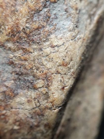 พระคงลำพูนเนื้อดินครับ รูปที่ 16