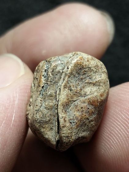 พระคงลำพูนเนื้อดินครับ รูปที่ 10