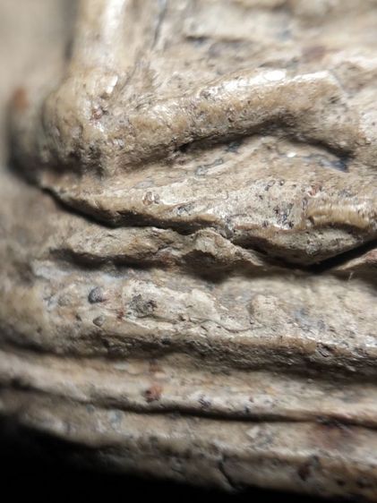 พระคงลำพูนเนื้อดินครับ รูปที่ 18