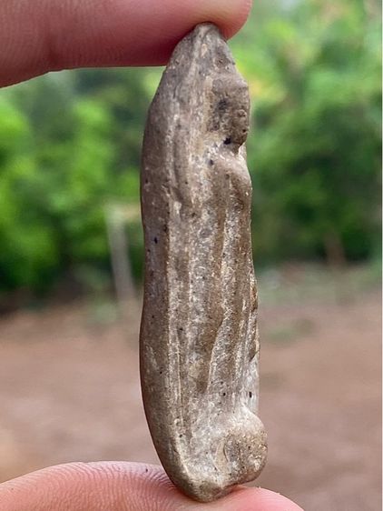 พระร่วงเปิดโลก พิมพ์นิยม กรุเตาทุเรียง สุโขทัย รูปที่ 4