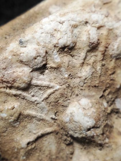 พระผงแช่น้ำมนต์ครับ รูปที่ 6