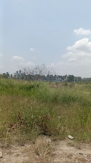 ใช่ ขายที่ดินผังสีม่วงลาย หน้านิคมฯWHA1 17ไร่1งาน75วา เขตeec รูปที่ 3