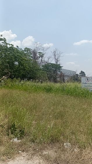 ใช่ ขายที่ดินผังสีม่วงลาย หน้านิคมฯWHA1 17ไร่1งาน75วา เขตeec รูปที่ 2