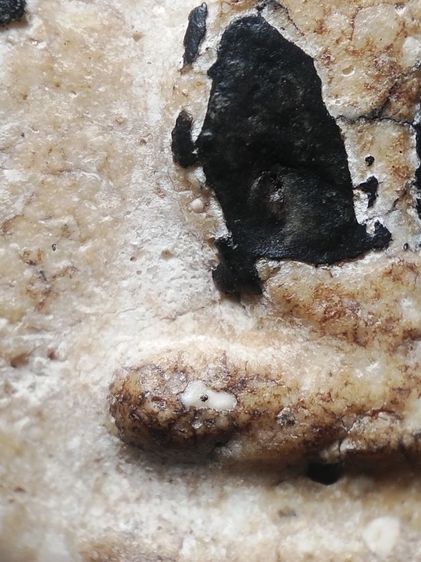 พระสมเด็จลงรักครับ รูปที่ 15