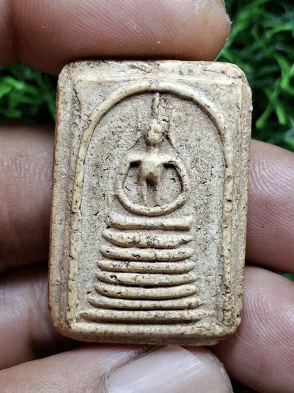 (ปิดแล้วครับ)หูประบ่า วัดเกศไชโย เนื้อจัดๆครับ