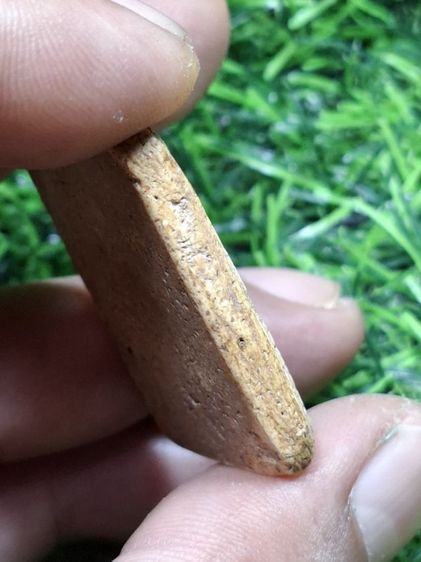 (ปิดแล้วครับ)หูประบ่า วัดเกศไชโย เนื้อจัดๆครับ รูปที่ 3