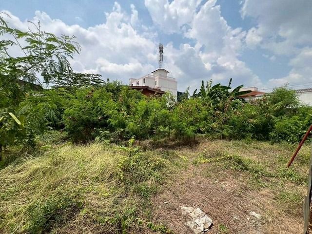 ขาย ที่ดินเนื้อที่ 118 ตารางวา ซอย ลาดพร้าว 87 แยก 22 ซอย7 ต.วังทองหลาง อ.บางกะปิ  รูปที่ 4