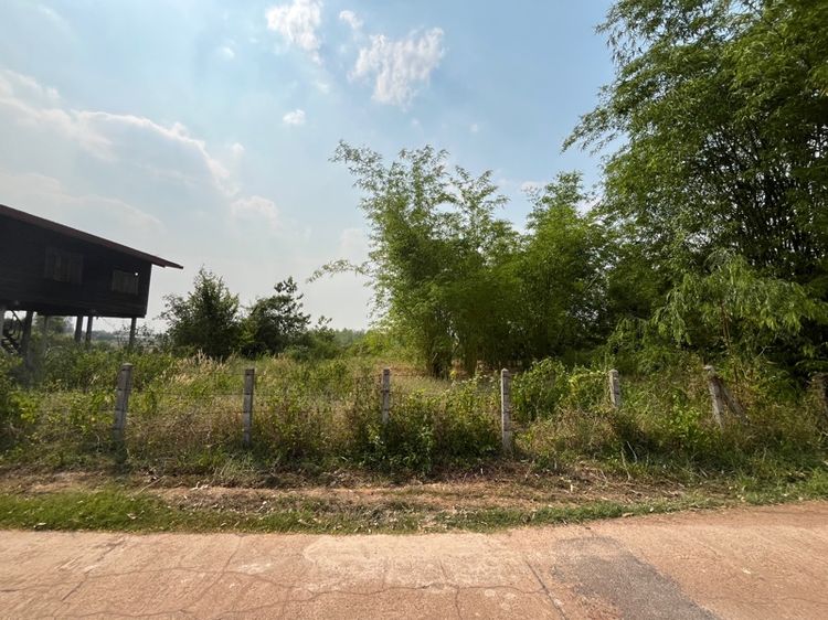 ใช่ ที่ดินเปล่า อ.วาริชภูมิ รูปที่ 3