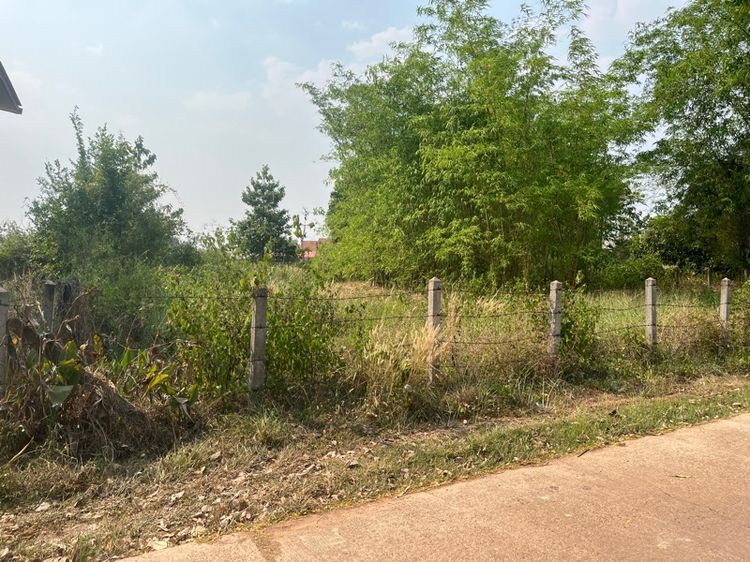 ใช่ ที่ดินเปล่า อ.วาริชภูมิ รูปที่ 4