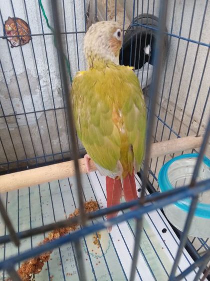 หาบ้าน รูปที่ 2