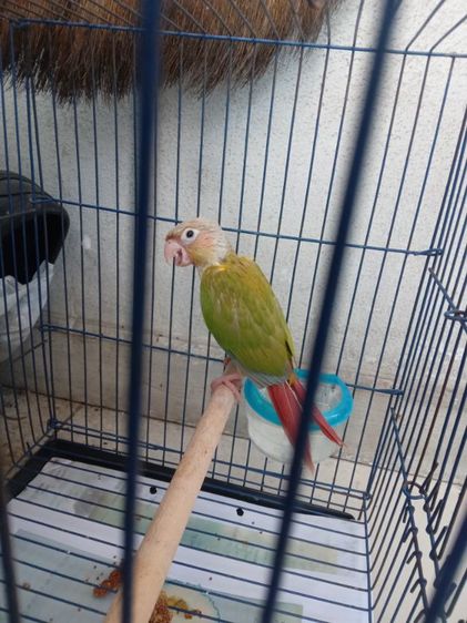 หาบ้าน รูปที่ 3