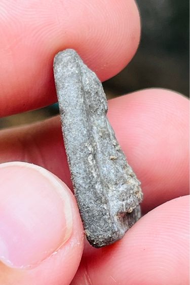 แม่ชีบุญเรือน รูปที่ 3