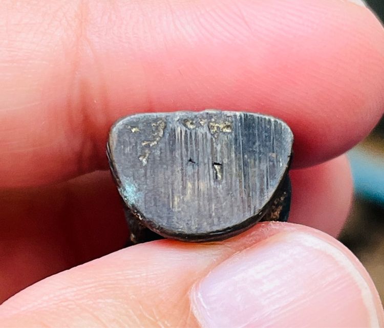 พระพิฆเนศรุ่นเก่า รูปที่ 4