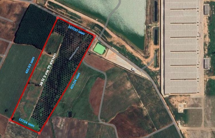 ขายที่ดิน 38 ไร่เศษ ในนิคมโรจนะ หนองใหญ่ รูปที่ 2