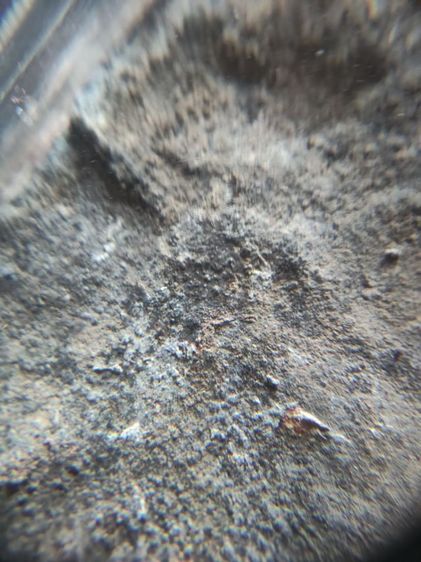 พระเนื้อชินเก่ามาก รูปที่ 8