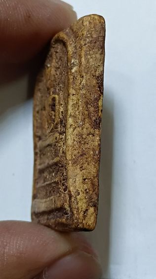 สมเด็จบางขุนพรหมพิมพ์ใหญ่ ปี 2500 เก่าเก็บ ตามภาพ รูปที่ 4