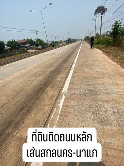 ที่ดินติดถนนหลักเส้นสกลนครนาแกตรงข้ามโรงเรียนบ้านดอนโทนอำเภอนาแก รูปที่ 3
