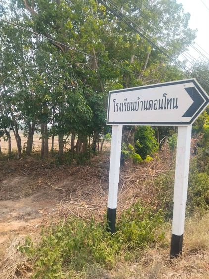 ที่ดินติดถนนหลักเส้นสกลนครนาแกตรงข้ามโรงเรียนบ้านดอนโทนอำเภอนาแก รูปที่ 4