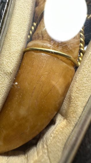 ปล่อยพระค่ะ รูปที่ 8