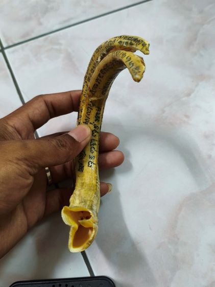 เขี้ยวหมูป่าแฝด เก่ามากๆๆ จารอักขระ รูปที่ 9