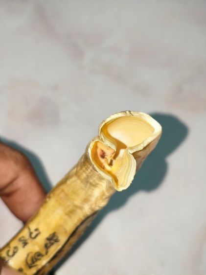 เขี้ยวหมูป่าแฝด เก่ามากๆๆ จารอักขระ รูปที่ 4