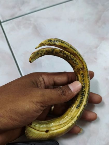 เขี้ยวหมูป่าแฝด เก่ามากๆๆ จารอักขระ รูปที่ 7