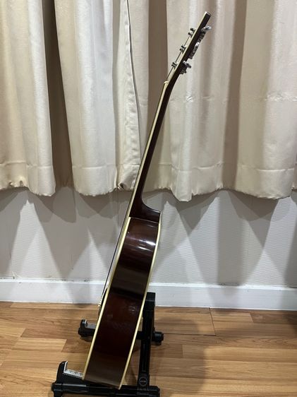 Morris MF50 solid top made in Japan รูปที่ 8