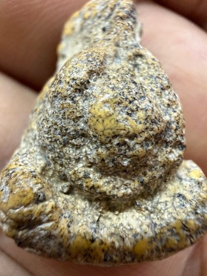 พระปิดตาสังกัจพุงป่องหลวงปู่ยิ้มวัดหนองบัวเนื้อเก่าๆองค์ครูเทียบหาพระสมเด็จวัดระฆังได้ผิวหิ้งเดิมๆยุบยับย่น ธรรมชาติพระโบราณถึงยุค150ปี