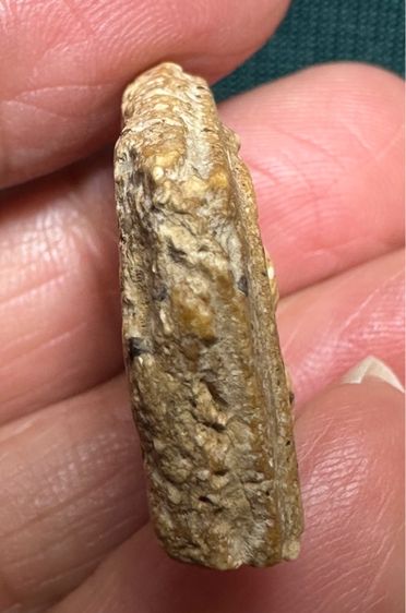 🙏ชิ้นส่วนพระสมเด็จเนื้อจัดแก่มวลสาร🙏ชิ้นส่วนพระสมเด็จ พิมพ์ใหญ่บางขุนพรหม องค์ละ2550 รูปที่ 7