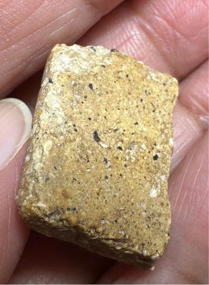 🙏ชิ้นส่วนพระสมเด็จเนื้อจัดแก่มวลสาร🙏ชิ้นส่วนพระสมเด็จ พิมพ์ใหญ่บางขุนพรหม องค์ละ2550 รูปที่ 6